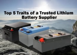 Top 5 Traits of a Trusted Lithium Battery Supplier in 2025