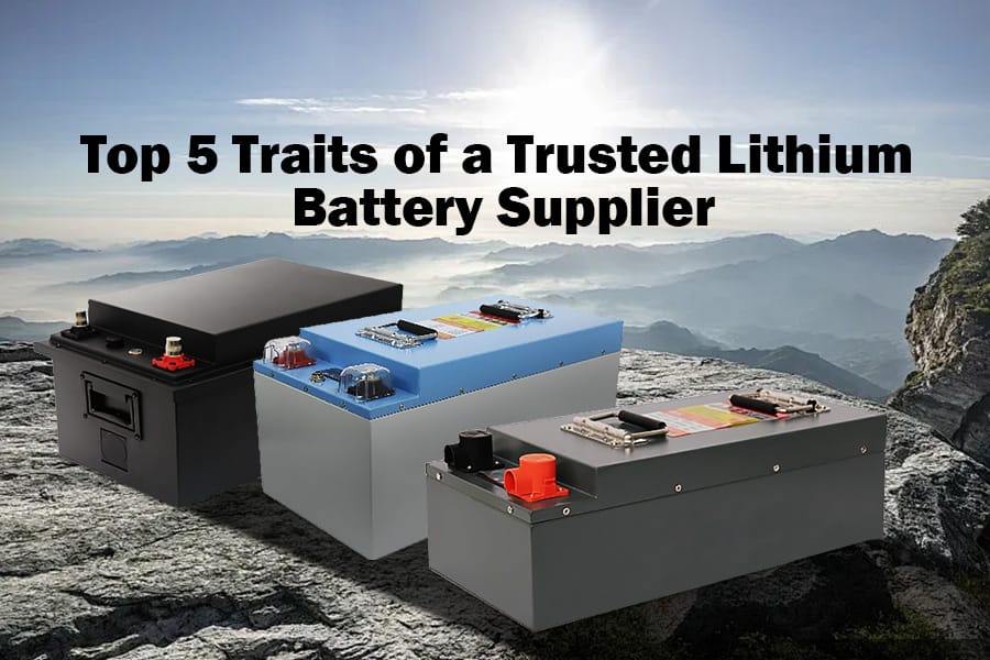 Top 5 Traits of a Trusted Lithium Battery Supplier in 2025
